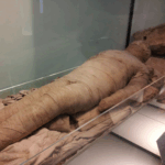 The Mummy's Mystery Doll_Queens - Image 3